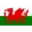 Wales U19