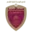 Al Wahda FC