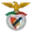 Benfica Castelo Branco