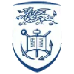 Swansea University